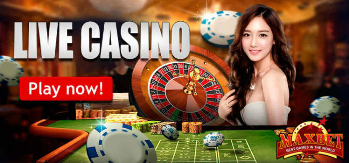 judi poker casino online Maxbet